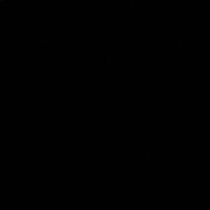 Meet your Posher, Daisy